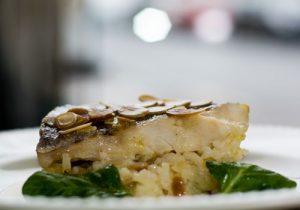 Hake-fillet-2