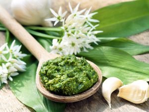 Wild-garlic-pesto