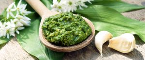 Wild-garlic-pesto-slide