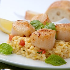 Scallop-Risotto